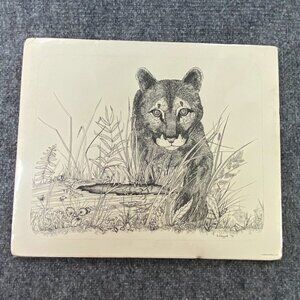 Karen Chappell Vintage Mountain Lion Ink & Pencil‎ on Paper Drawing Signed 1978